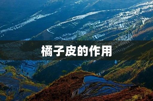 橘子皮的作用：从延缓衰老到减肥，无所不能！