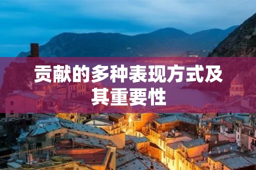 贡献的多种表现方式及其重要性