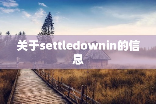 关于settledownin的信息