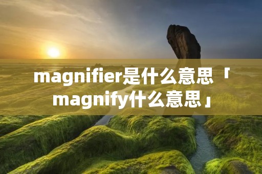 magnifier是什么意思「magnify什么意思」