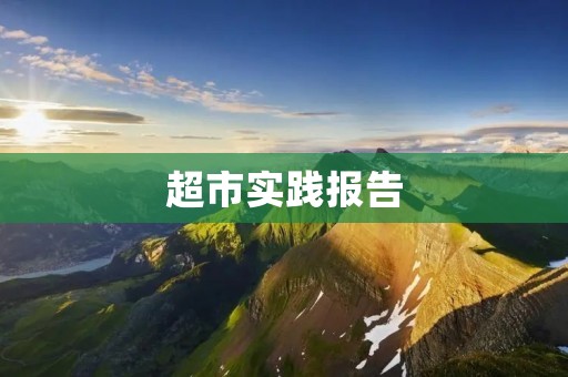 超市实践报告:探究现代超市的管理与营销策略