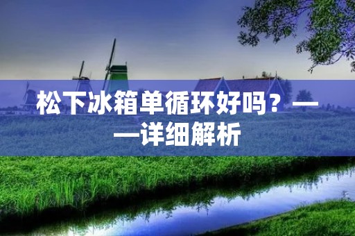 松下冰箱单循环好吗？——详细解析
