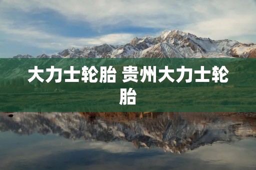 大力士轮胎 贵州大力士轮胎 大力士轮胎 贵州大力士轮胎