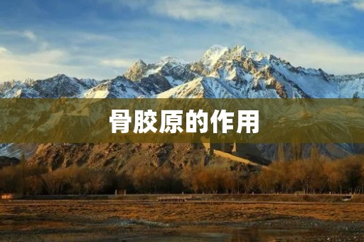 骨胶原的作用:重要的结构蛋白 骨胶原的作用:重要的结构蛋白