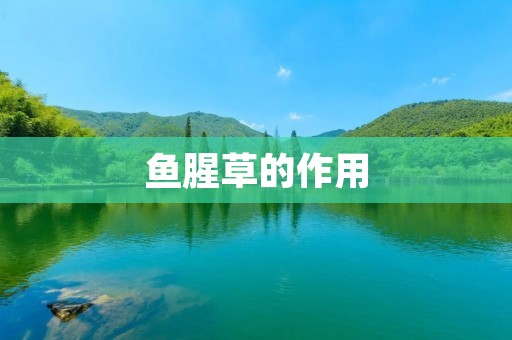 鱼腥草的作用：祛风散寒、消炎解毒、止痛止痒