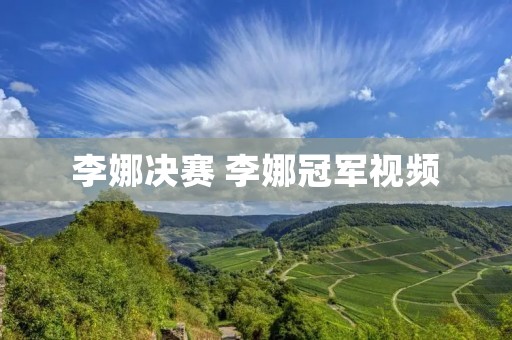 李娜决赛 李娜冠军视频