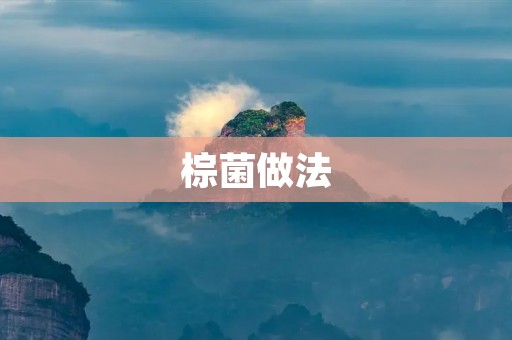 棕菌做法：如何制作美味的棕菌菜肴？