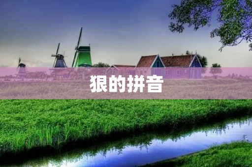 狠的拼音:让中文拼音更加准确 狠的拼音:让中文拼音更加准确