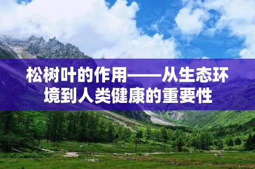 松树叶的作用——从生态环境到人类健康的重要性 松树叶的作用——从生态环境到人类健康的重要性