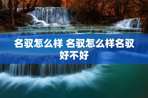 名驭怎么样 名驭怎么样名驭好不好