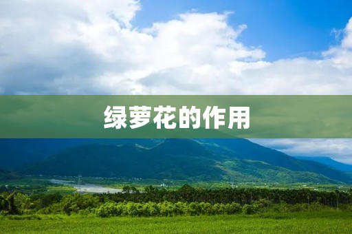 绿萝花的作用:室内净化空气的好帮手 绿萝花的作用:室内净化空气的好帮手