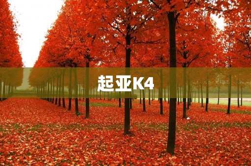起亚K4:舒适性与安全性并重的高性价比车型 起亚K4:舒适性与安全性并重的高性价比车型