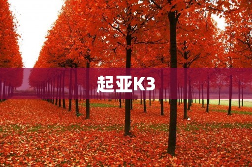 起亚K3:性价比之王,值得拥有! 起亚K3:性价比之王,值得拥有!