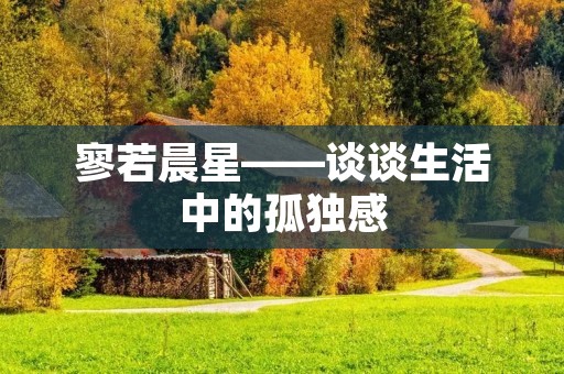 寥若晨星——谈谈生活中的孤独感