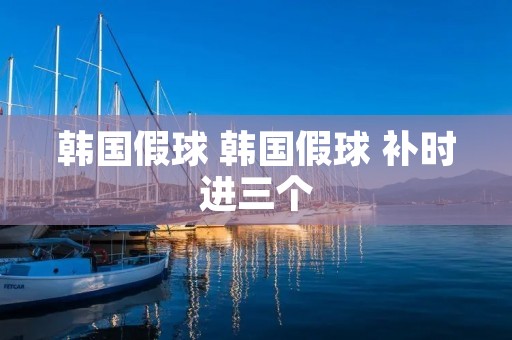 韩国假球 韩国假球 补时进三个