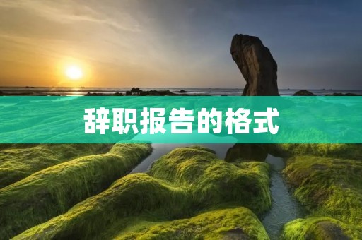 辞职报告的格式