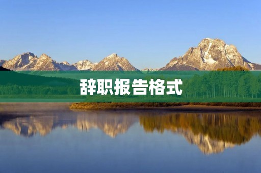 辞职报告格式