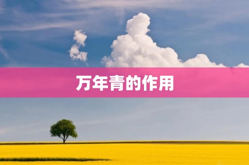 万年青的作用:探究这种常见的植物 万年青的作用:探究这种常见的植物