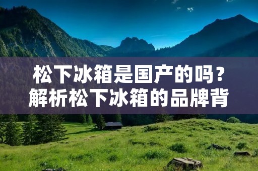 松下冰箱是国产的吗？解析松下冰箱的品牌背景及制造工艺