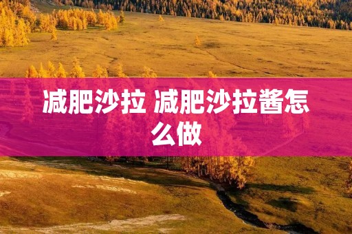 减肥沙拉 减肥沙拉酱怎么做
