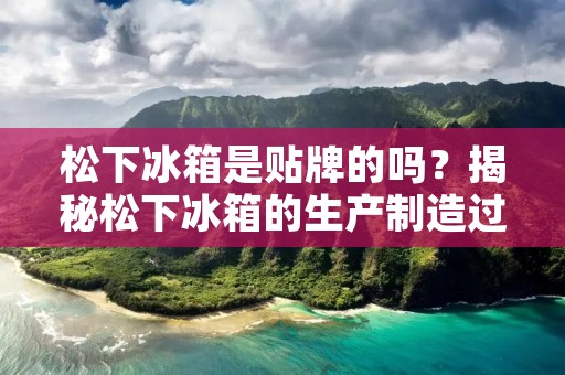 松下冰箱是贴牌的吗？揭秘松下冰箱的生产制造过程
