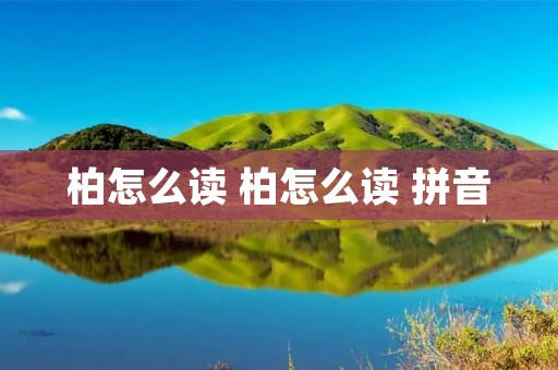 柏怎么读 柏怎么读 拼音