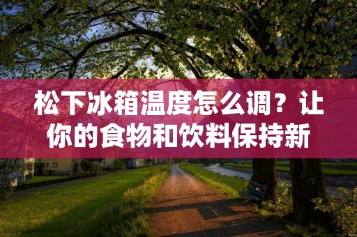 松下冰箱温度怎么调？让你的食物和饮料保持新鲜