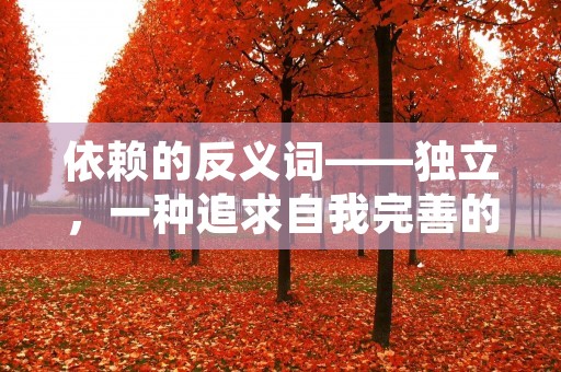 依赖的反义词——独立,一种追求自我完善的态度