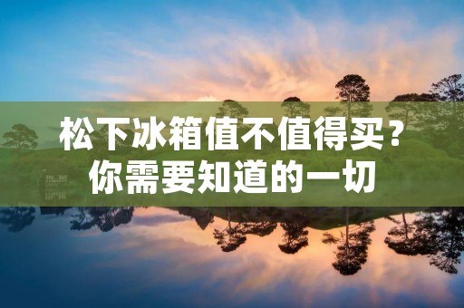 松下冰箱值不值得买？你需要知道的一切