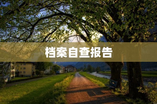 档案自查报告:加强机构档案管理的必要性与措施