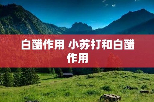 白醋作用 小苏打和白醋作用