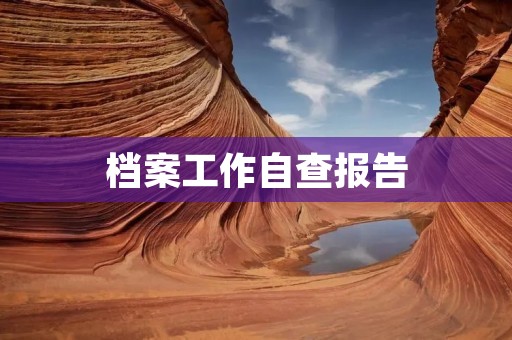 档案工作自查报告