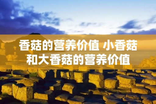 香菇的营养价值 小香菇和大香菇的营养价值
