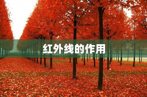 红外线的作用：从物理到生活的应用