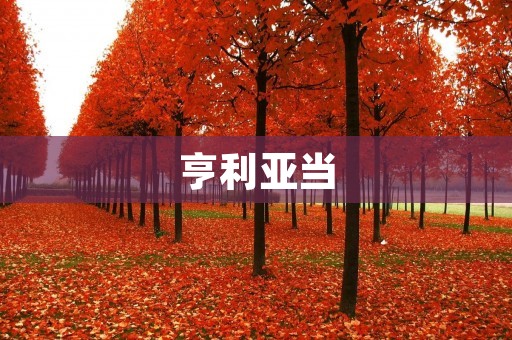 亨利亚当:文学史上的一位传奇 亨利亚当:文学史上的一位传奇