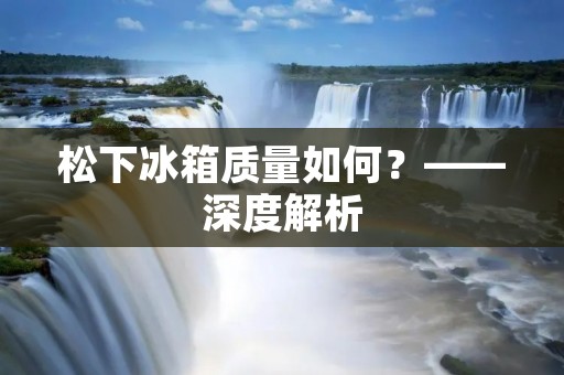松下冰箱质量如何？——深度解析