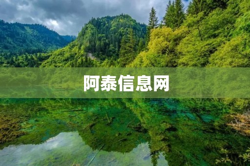 阿泰信息网：打造最全面的IT资讯平台