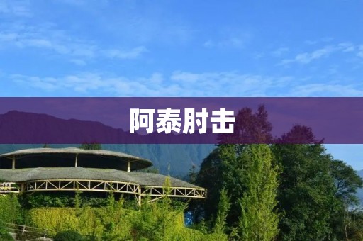阿泰肘击：一次不可取的暴力行为