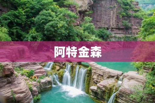 阿特金森:颠覆传统的艺术家 阿特金森:颠覆传统的艺术家