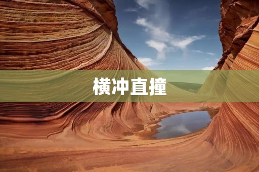 横冲直撞:探讨当代社会的短视行为 横冲直撞:探讨当代社会的短视行为