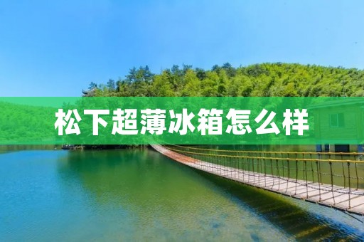 松下超薄冰箱怎么样：性能稳定，外观时尚