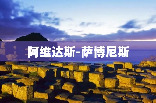 阿维达斯-萨博尼斯:一位伟大的艺术家 阿维达斯-萨博尼斯:一位伟大的艺术家