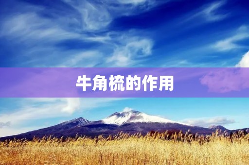 牛角梳的作用:让你拥有健康的头发 牛角梳的作用:让你拥有健康的头发