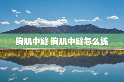 胸肌中缝 胸肌中缝怎么练