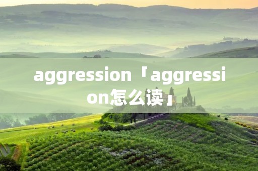 aggression「aggression怎么读」