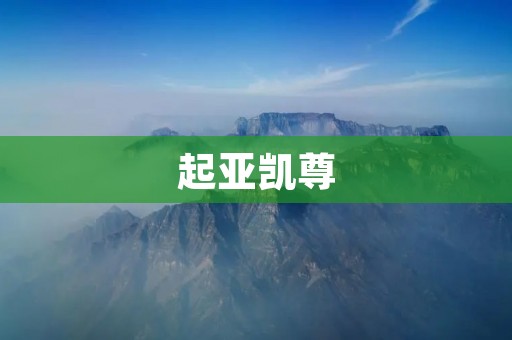 起亚凯尊:豪华SUV的标杆 起亚凯尊:豪华SUV的标杆