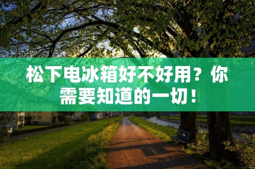 松下电冰箱好不好用？你需要知道的一切！