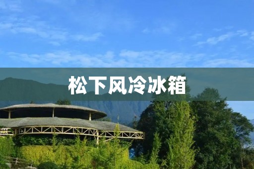松下风冷冰箱：为你的家庭带来更多便利