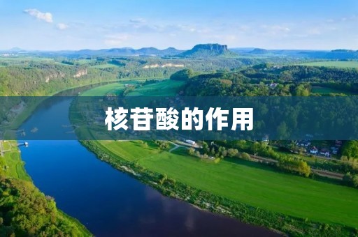 核苷酸的作用:从基因到免疫系统的多重功能 核苷酸的作用:从基因到免疫系统的多重功能