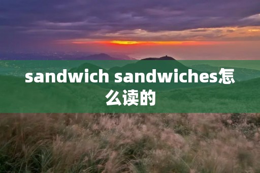 sandwich sandwiches怎么读的 sandwich sandwiches怎么读的